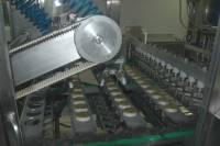 Fabrication des yaourts - Mise en place des pots vides